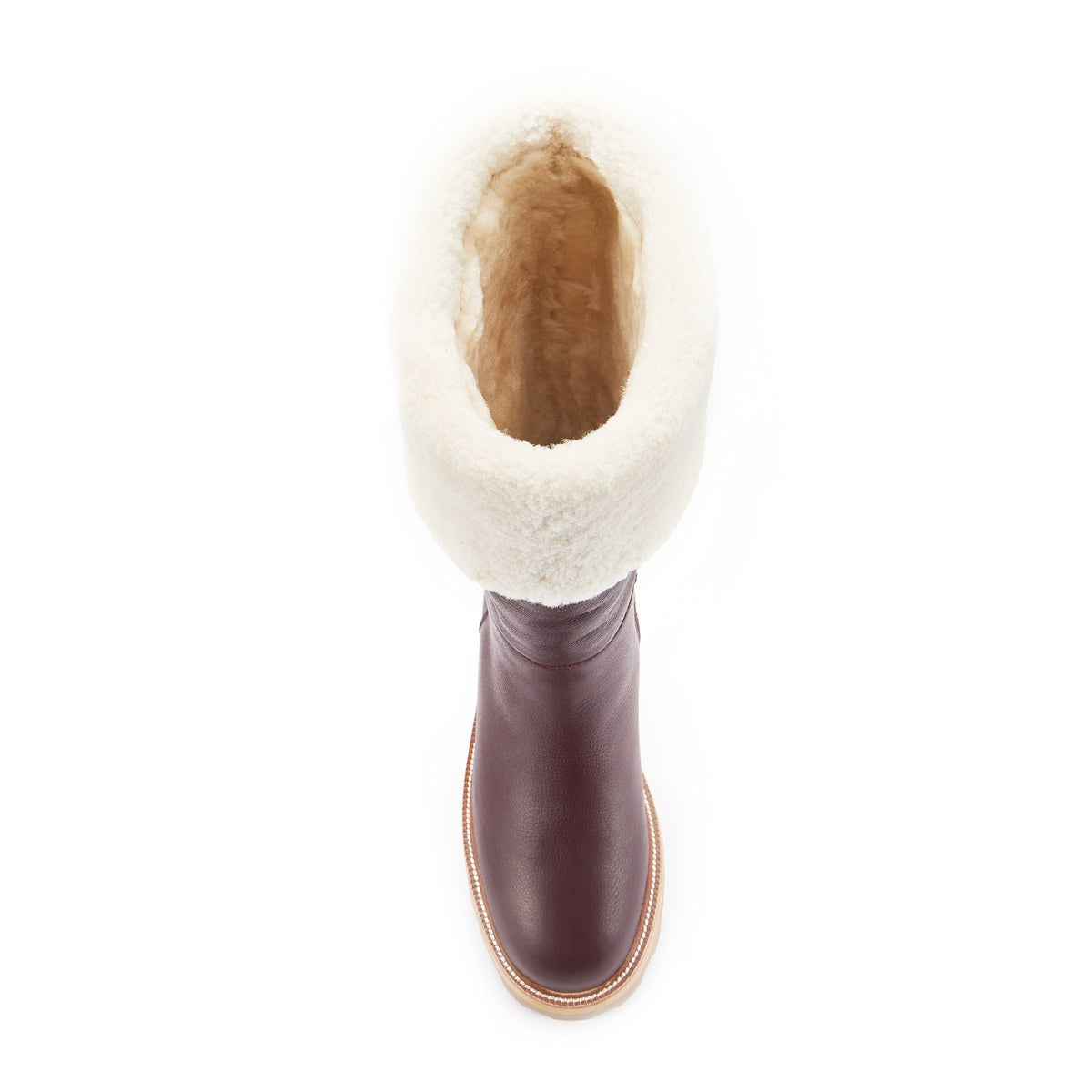 TITAN PLUM